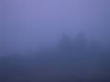 19 : 29