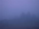 19 : 33