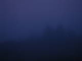 19 : 41