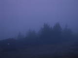 06 : 17
