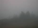 07 : 17
