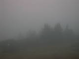 07 : 19