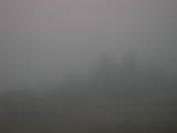 07 : 33