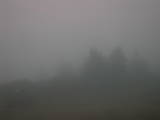 07 : 41