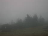 08 : 03