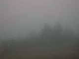 08 : 09