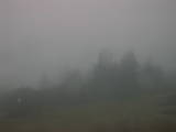 08 : 29