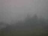 08 : 41