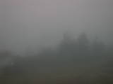 08 : 45