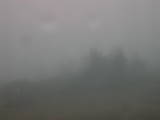10 : 29