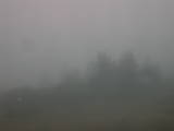10 : 33