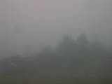 11 : 45