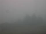 12 : 17
