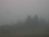 12 : 53