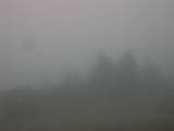 13 : 13