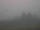 13 : 29