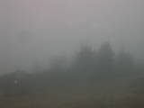 13 : 33