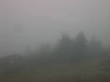 13 : 41