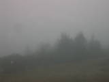 13 : 49