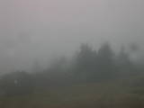 13 : 53