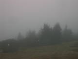 14 : 13