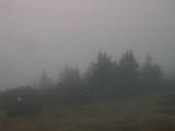 16 : 37