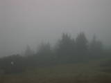 16 : 49