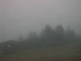 16 : 53