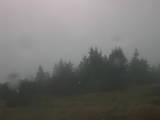 17 : 13