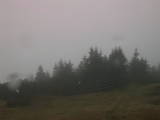 17 : 21