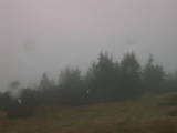 17 : 25