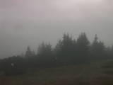 18 : 05