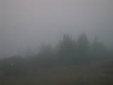 19 : 17