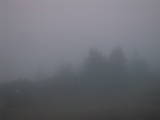19 : 25