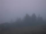 19 : 29