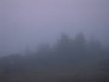 19 : 33