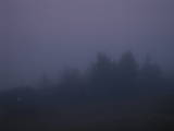 19 : 37