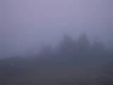 06 : 17