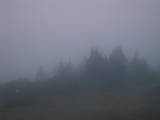 07 : 15