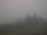 07 : 29