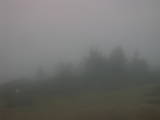 07 : 31
