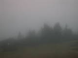 07 : 33