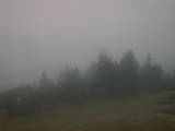 07 : 41