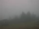 07 : 49