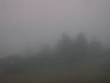 08 : 01