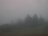 08 : 03