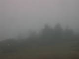 08 : 09