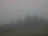 08 : 11