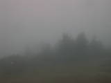 08 : 15