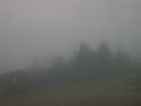 08 : 17
